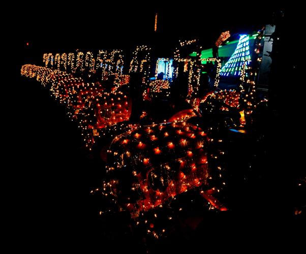 Christmas light show at Messick's [photos] Local News