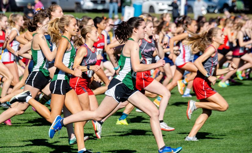 2022 District 3 cross country championships [photos] High School