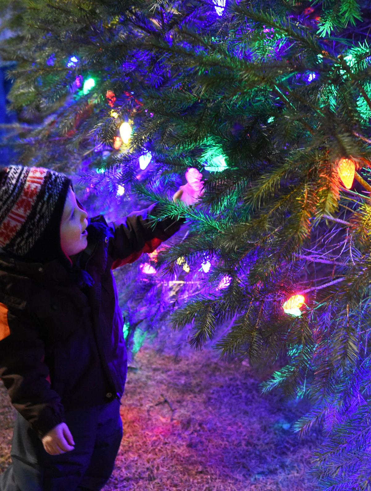 Lititz lights tree during Christmas in the Park 2018 [photos] Food
