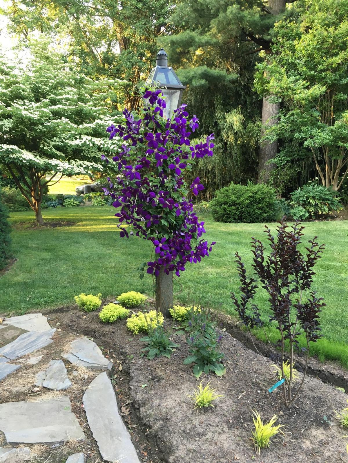 Historic homes and lovely gardens in Strasburg, Saturday and Sunday