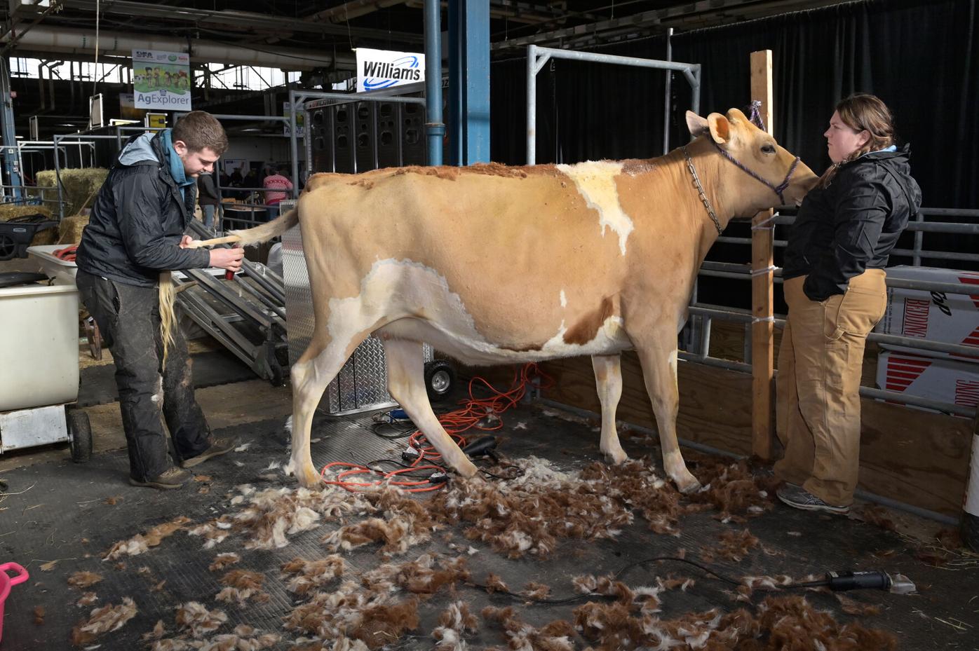 Tuesday Farm Show 6.jpg