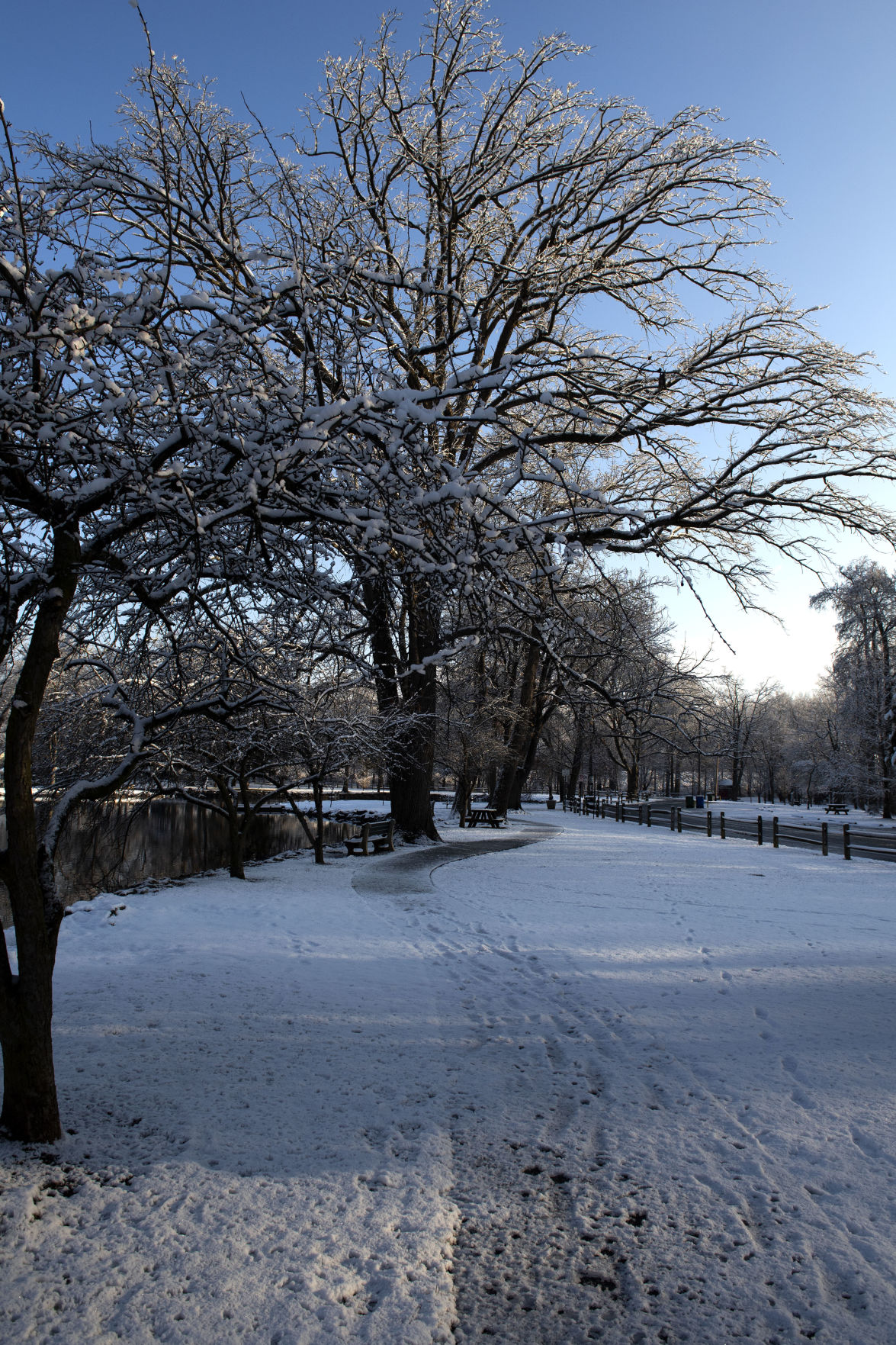Take a look around at Lancaster County's first snowfall of 2020 [photos