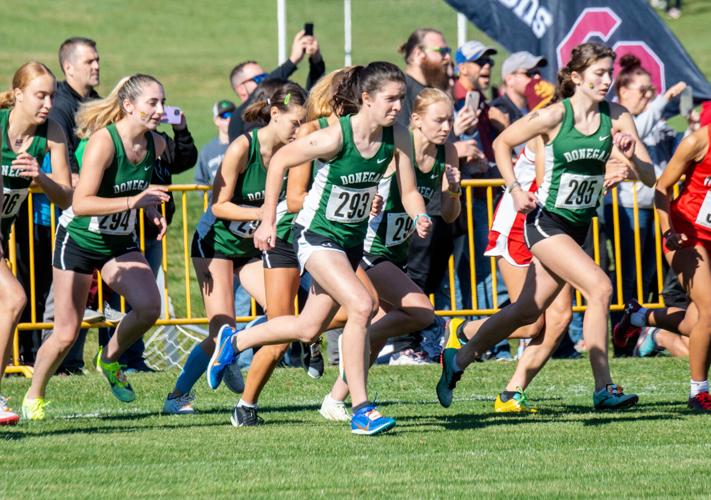 2022 District 3 cross country championships [photos] High School