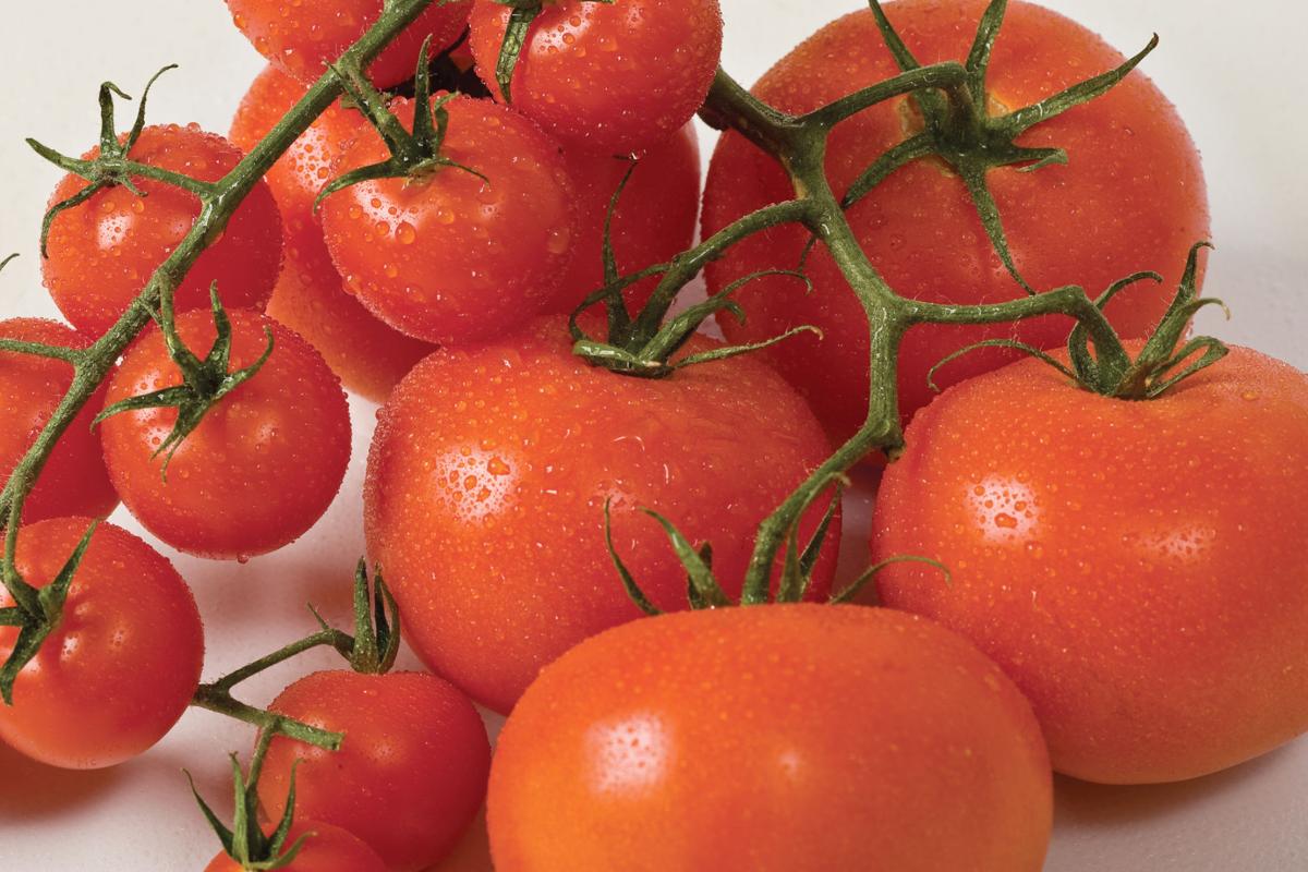 Fountain Avenue Kitchen Use blender as tomato sauce shortcut Food