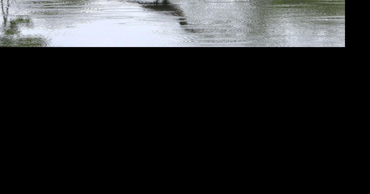 Through the Viewfinder: Waiting to dive CONNOR HOLLINGER | For LNP | LancasterOnline Jun 1, 2026