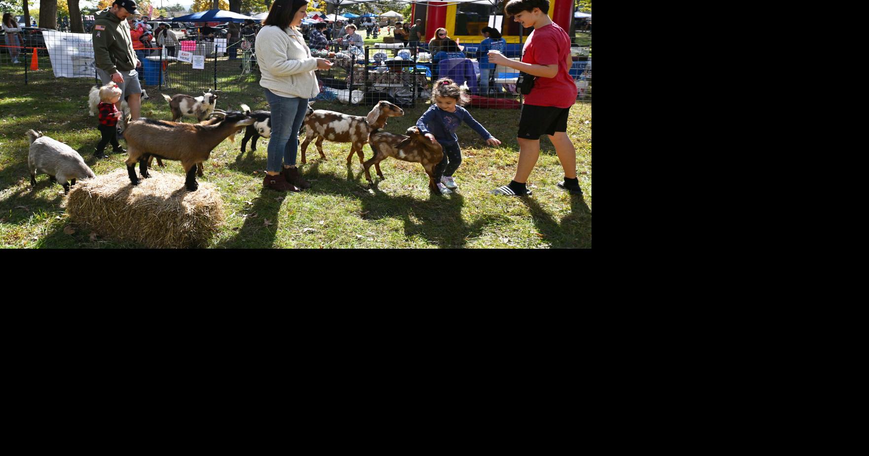 7 events in Lancaster County this weekend, from AppleUmpkin Festival to Spooky Fest Oct 14, 2026