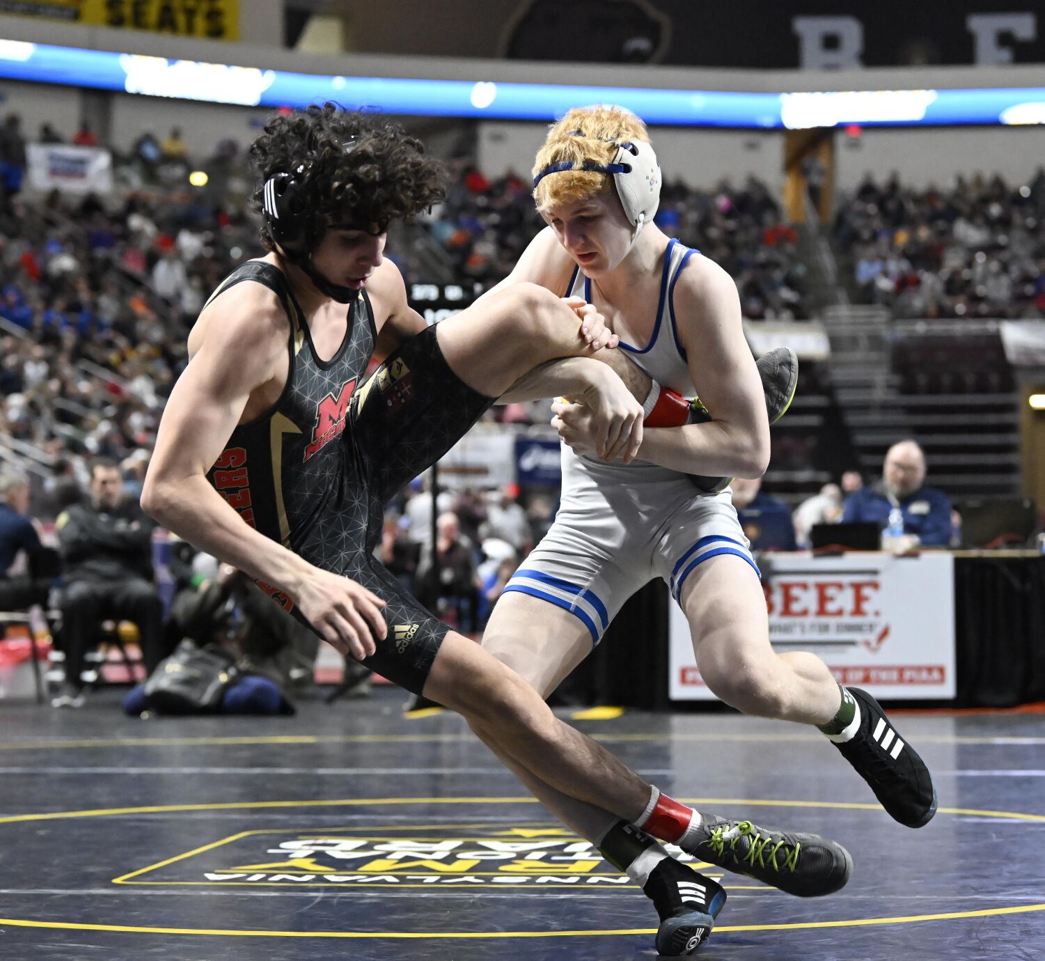 Northern Lebanon wrestler Aaron Seidel advances to PIAA Class 2A