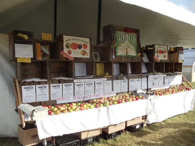 Learn how to find, preserve and enjoy lost apples at this talk for