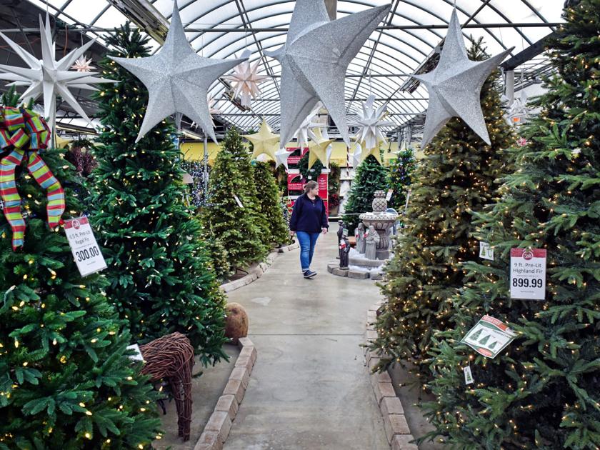 National christmas museum Lancaster County Christmas tree farmers remain optimistic despite