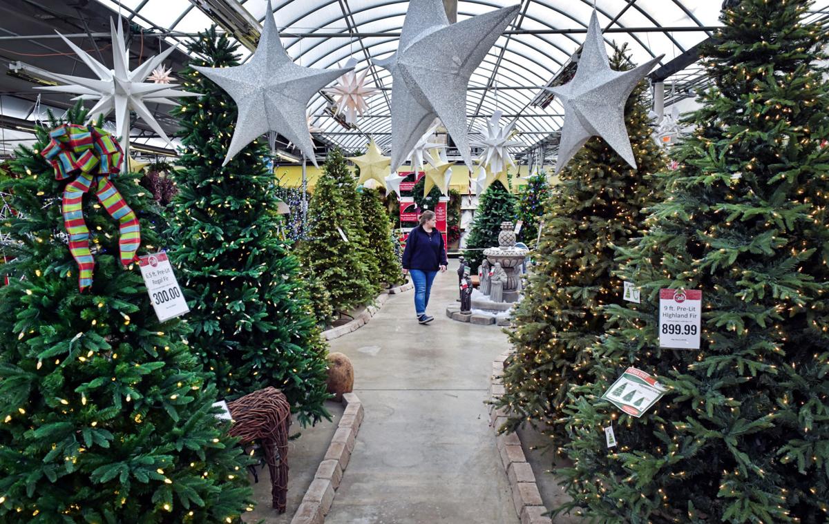 Lancaster County Christmas Tree Farmers Remain Optimistic Lancaster County Christmas Tree Farmers Remain Optimistic