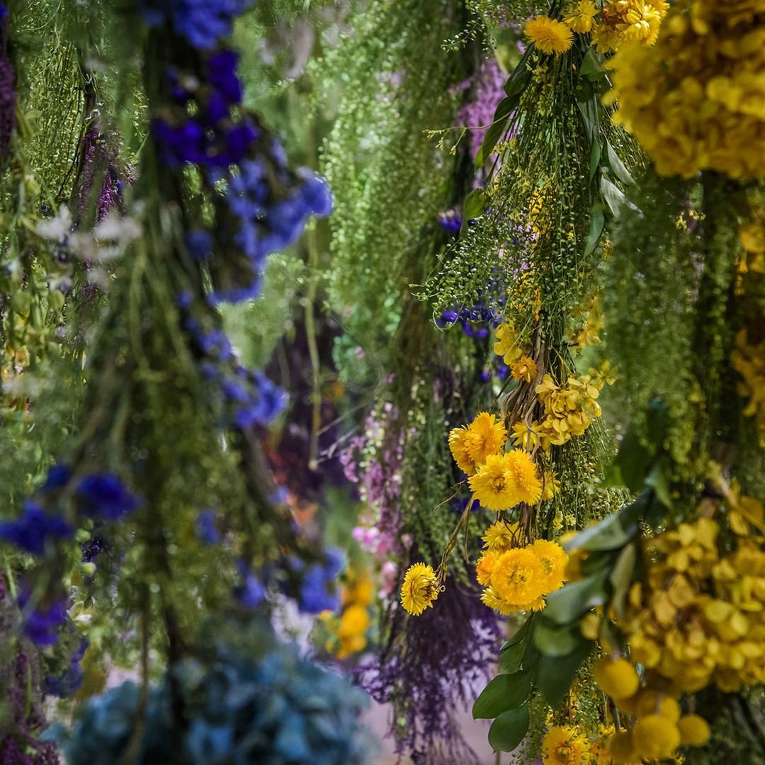 This Is How Thousands Of Plants At The Philadelphia Flower Show