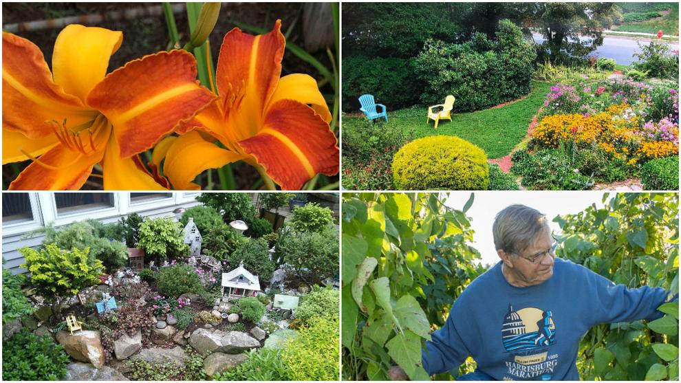 You voted Here are the Lancaster County gardens we'll highlight this