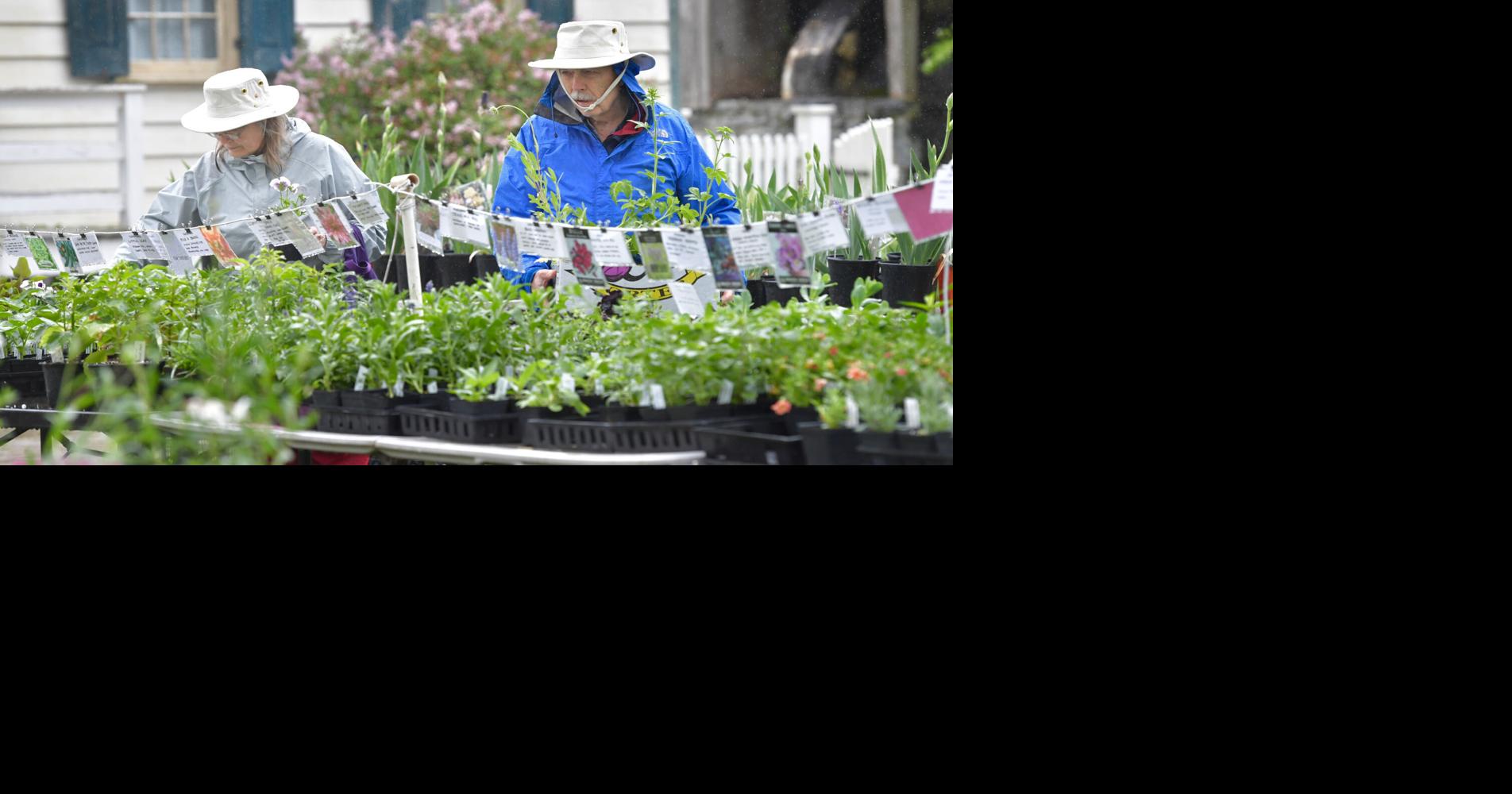 Gardeners flock to Landis Valley Village and Farm Museum for annual Herb and...