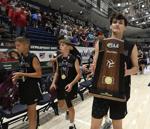 Manheim Central will enjoy view from the top of PIAA Class 2A volleyball mountain