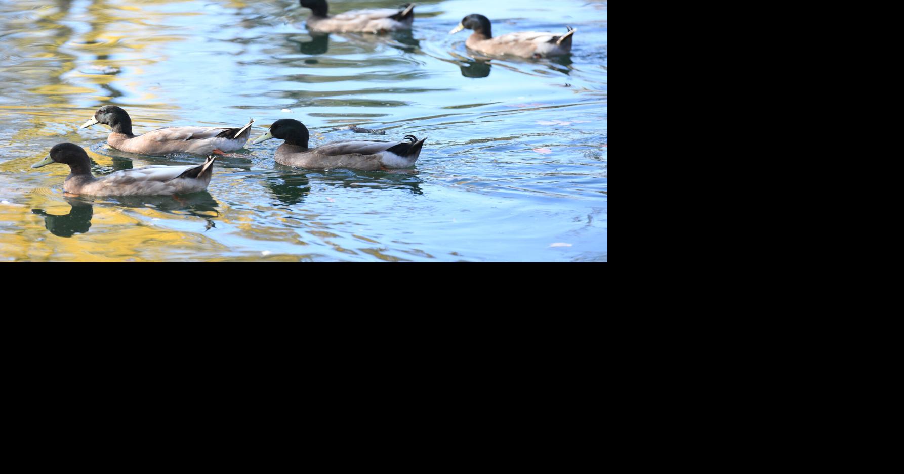 Warmer temperatures expected in Lancaster County this week, cold front ...