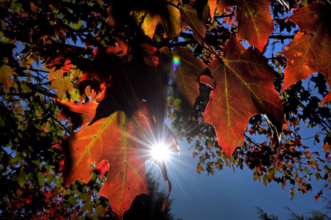 Crisp, sunny fall day on tap in Lancaster County as temperatures