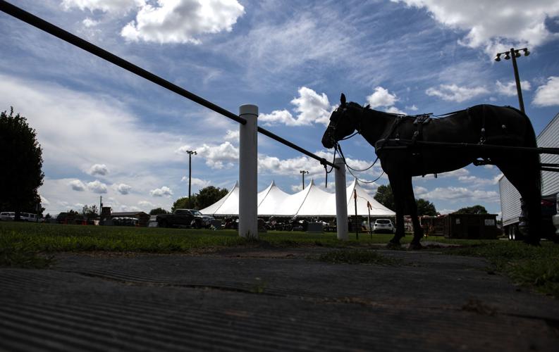 Cornhole and carvings scenes from the 15th annual Bowmansville Days
