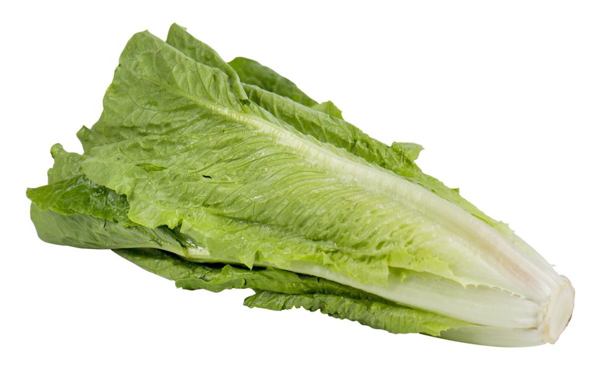 CDC, FDA issue E. coli warning about chopped romaine lettuce Food