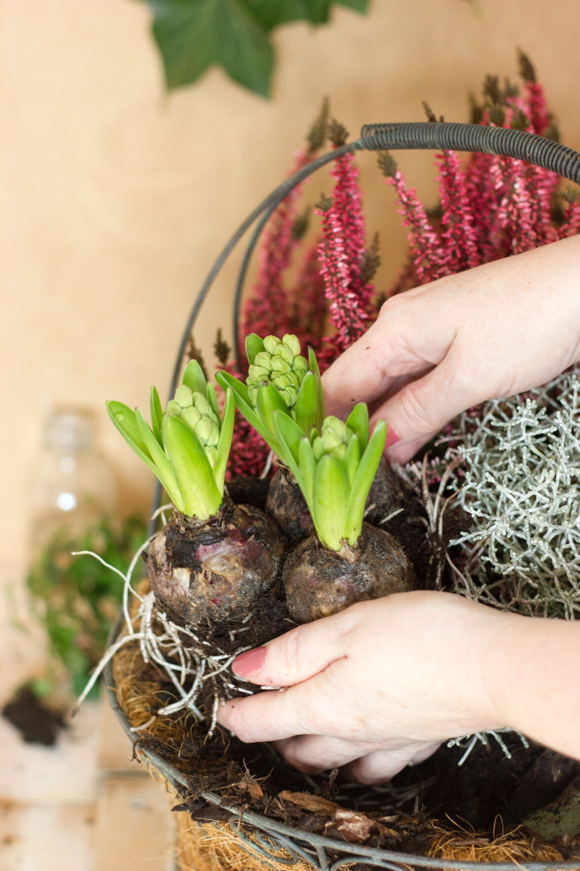 Spring Bulb Containers Consider planting a container garden of bulbs this fall for a spring ...