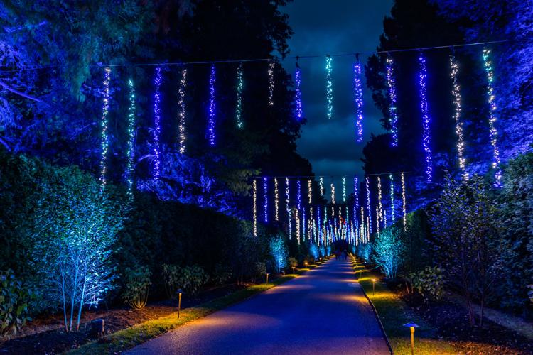 Longwood Christmas Flower Drive lights