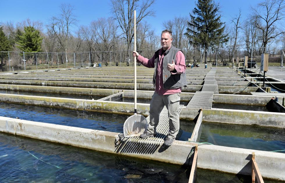 Trout grow for anglers, restaurants, markets at Limestone Springs