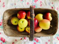Our food writer samples 12 varieties of Lancaster County apples