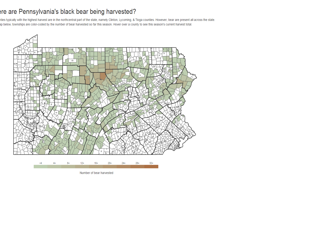 Game Commission map tracks black bear harvest in Pennsylvania Local