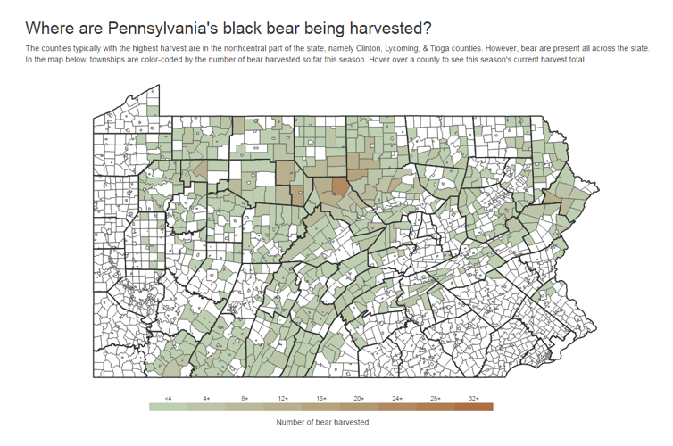 Game Commission map tracks black bear harvest in Pennsylvania Local