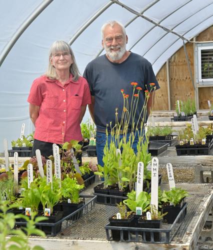 Cloverleaf Herb Farm 1.jpg