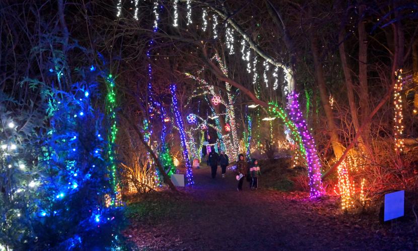 Holiday Lights Shine Bright At Terre Hill Christmas In The Park photos Holiday lights shine bright at terre hill christmas in the park photos
