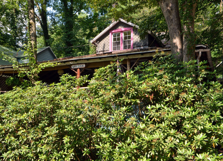 Mt gretna art show discount coupons