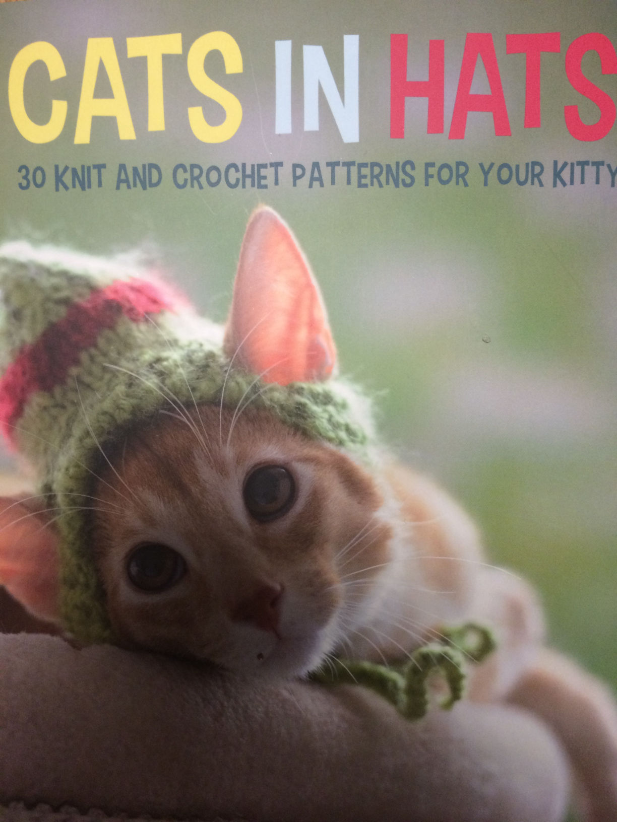 cats in hats book