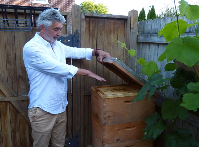Local beekeepers look forward to passage of Lancaster city ordinance