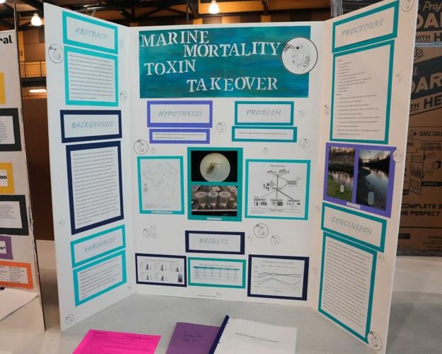 Here's who won at the 71st annual North Museum Science and ...