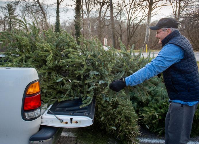 Christmas trees turned into mulch [photos] Local News
