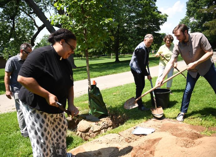 'Unity Tree' planted in Buchanan Park to celebrate program that planted ...