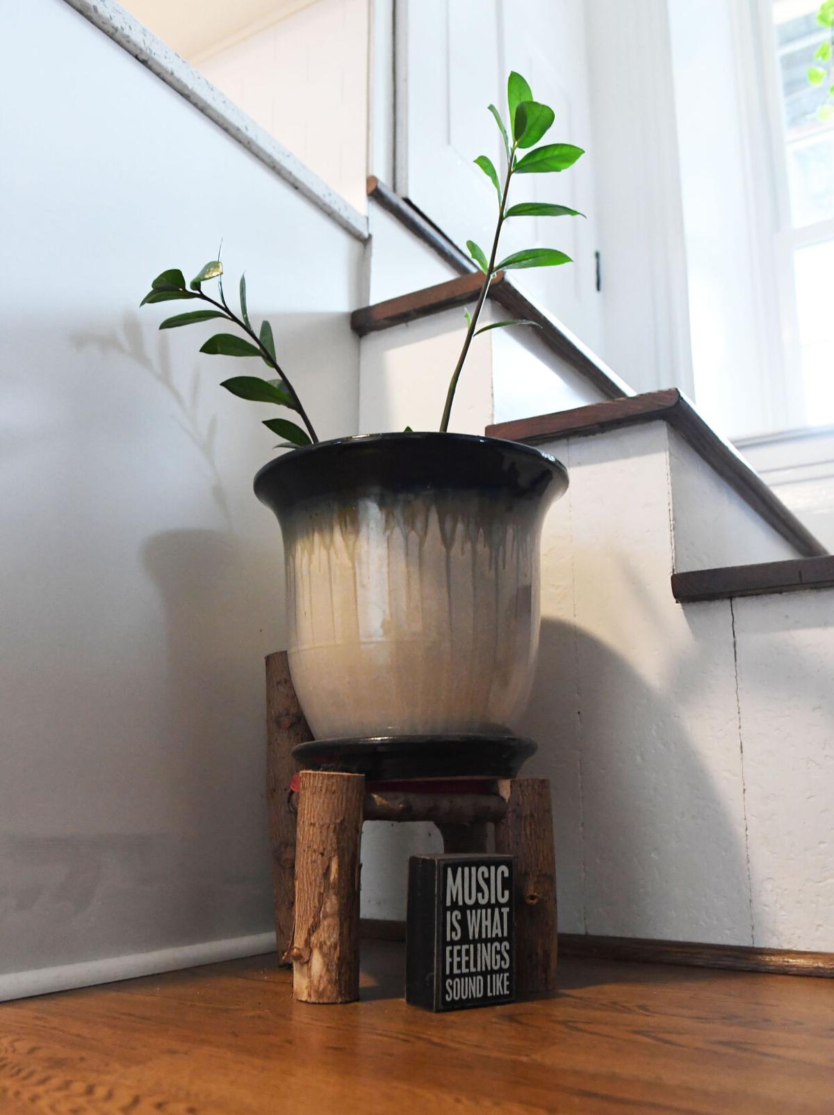 SwankHouse006.JPG