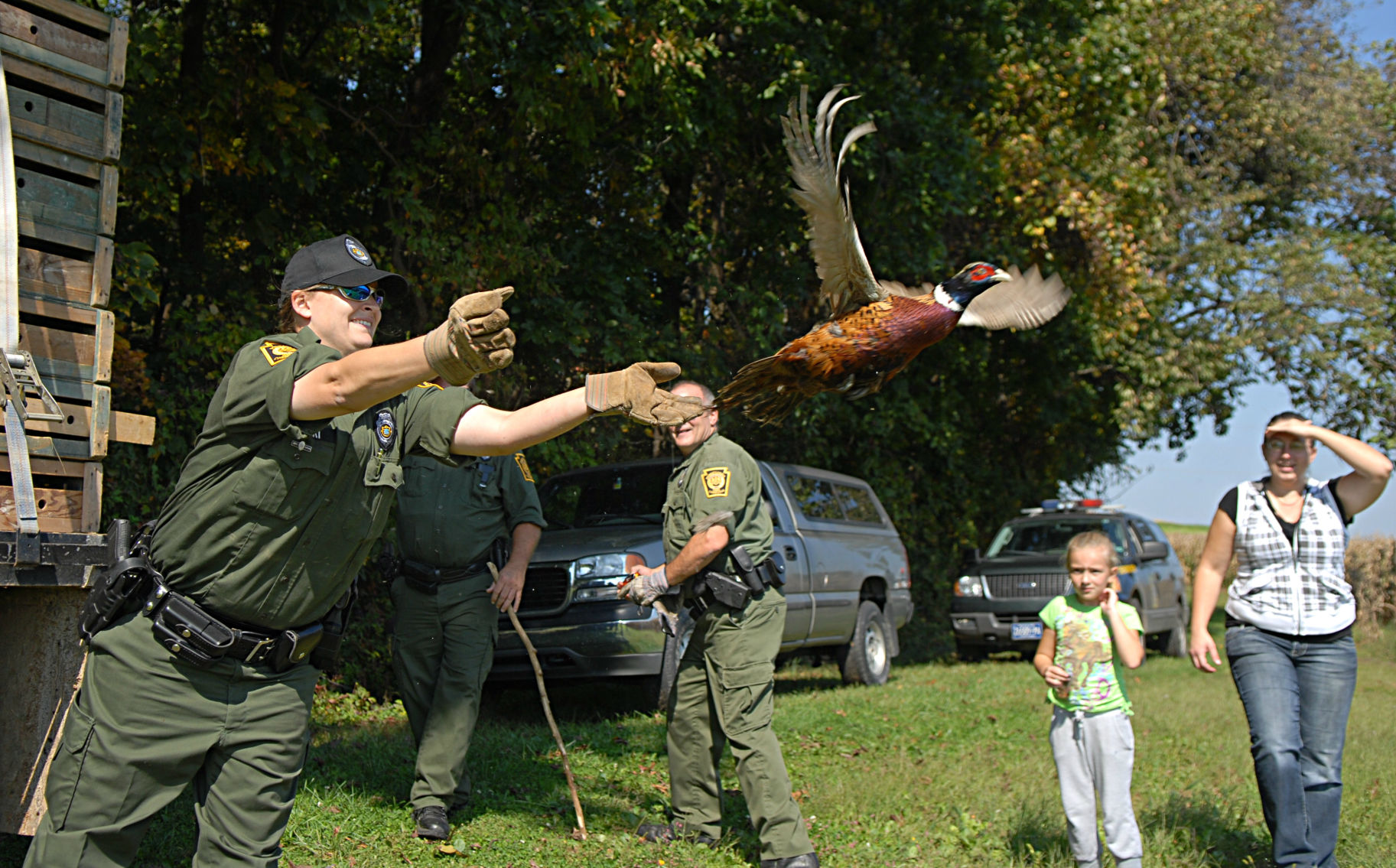 PA hunters mad about 25 pheasant stamp Outdoors