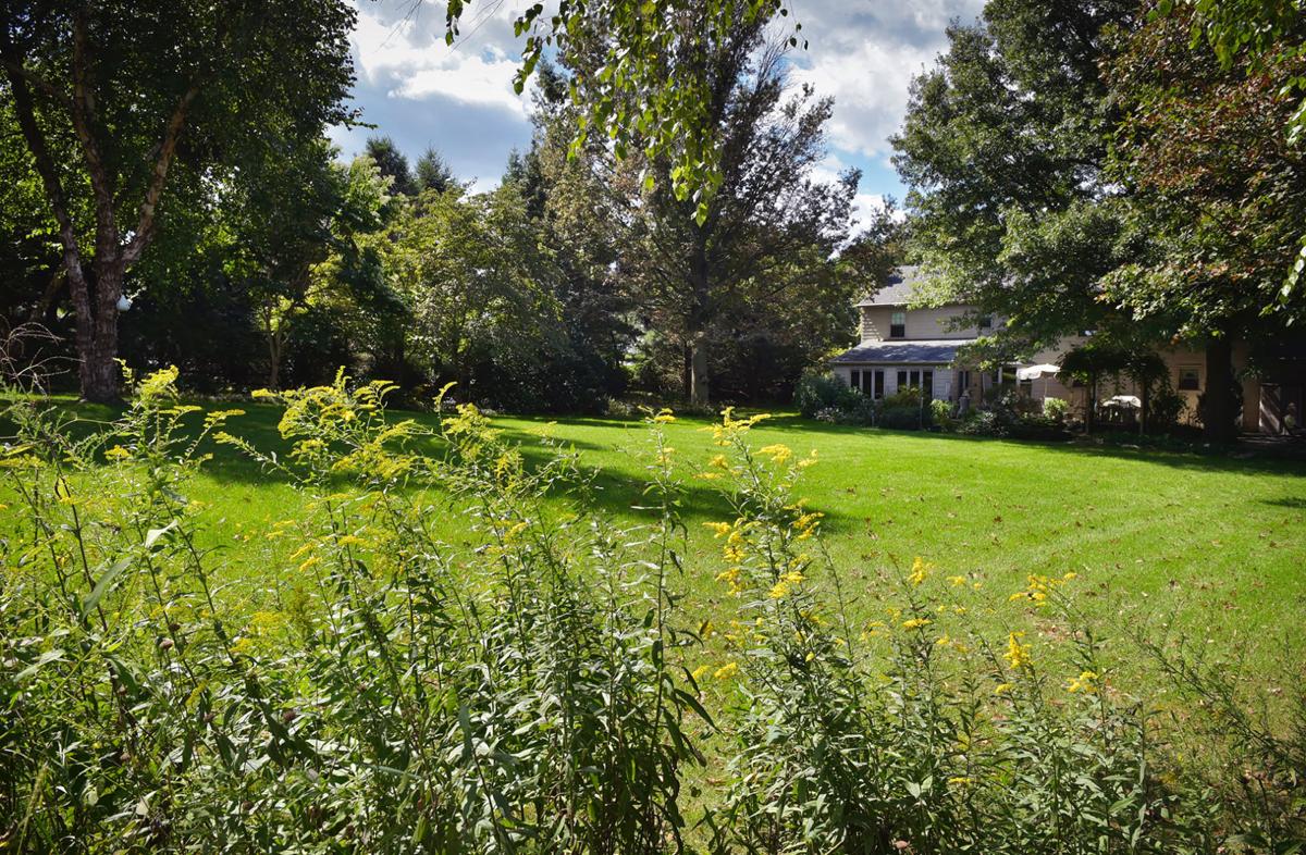 This Pequea Township garden has year-round color, a wild area and zero