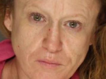 Peach Bottom woman skips court after numerous charges of animal abuse, neglect: DA's office - Vimarsana News