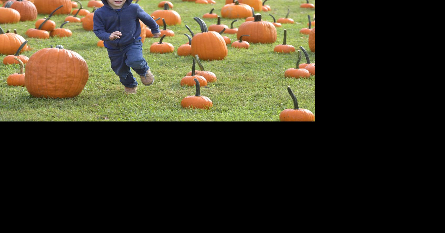 Harvest Days at Landis Valley Village & Farm Museum [photos]