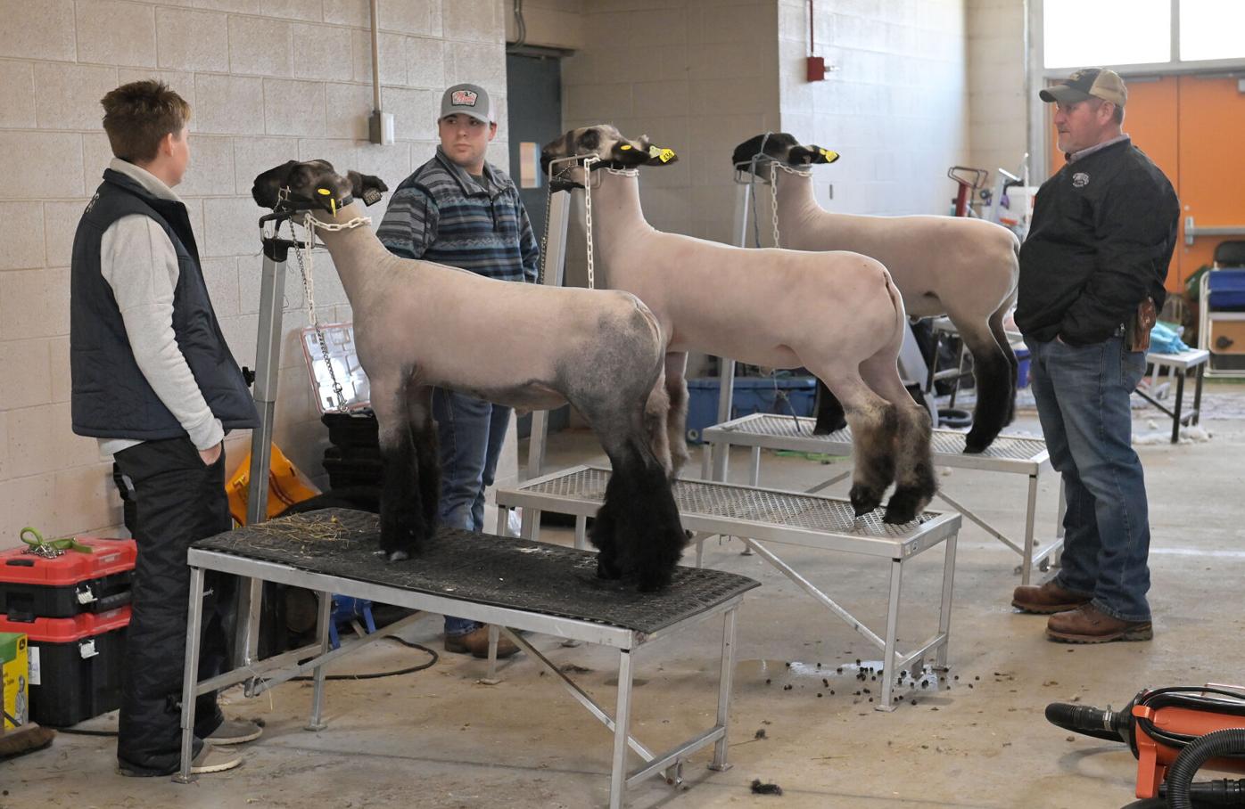 Tuesday Farm Show 10.jpg