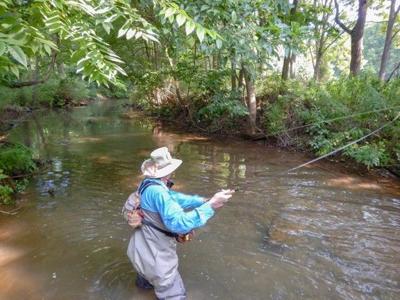 50 Years Of Restoring Donegal Creek Wild Trout Stream - 