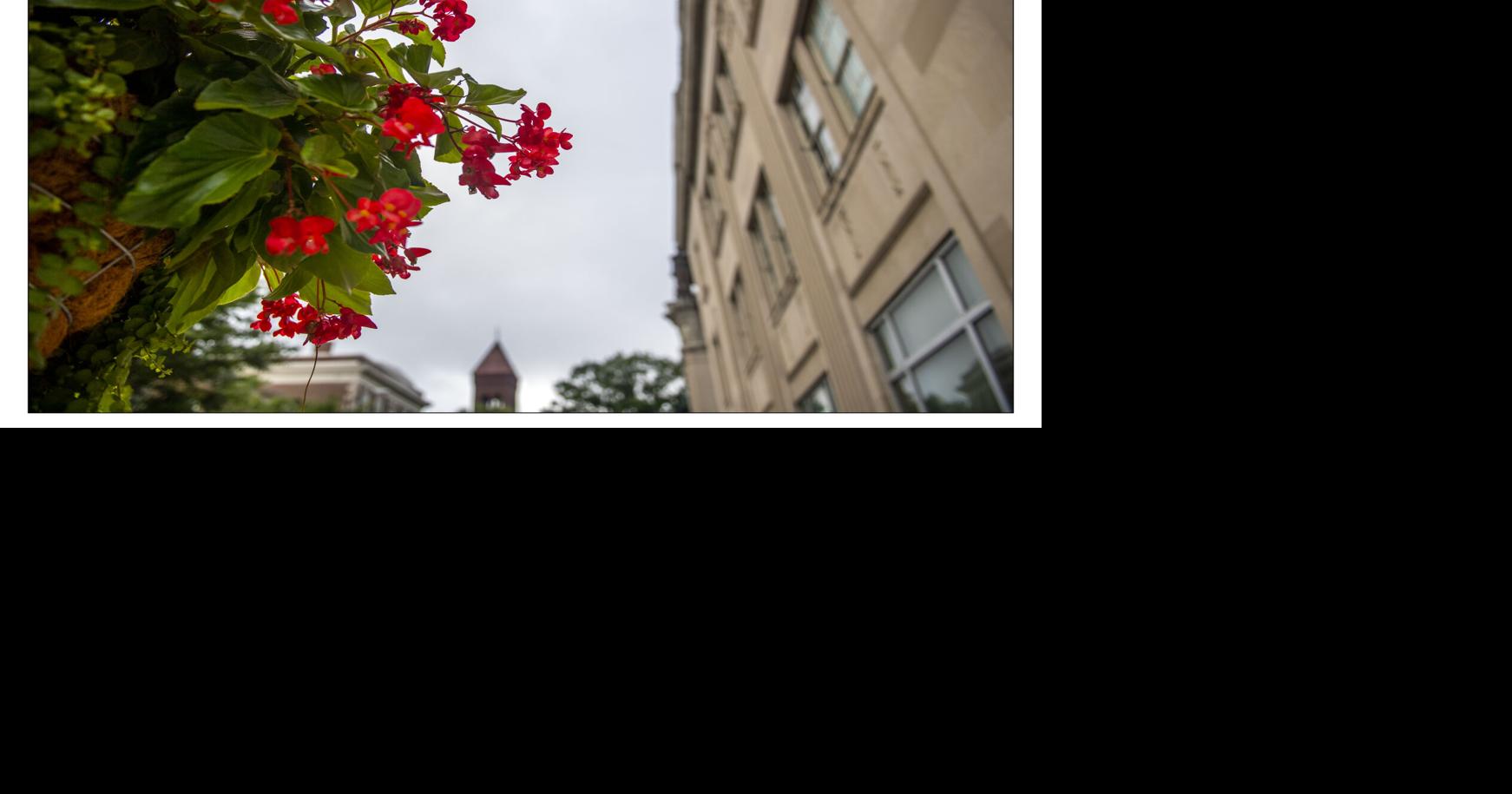 When does spring begin in 2021? Local News