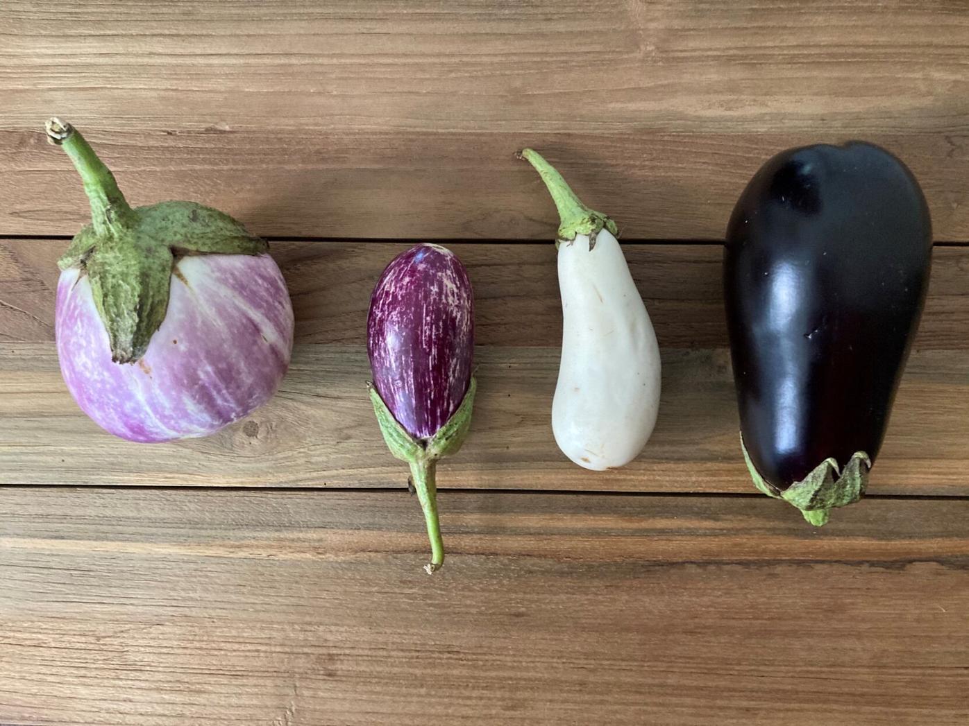 Eggplant beauty