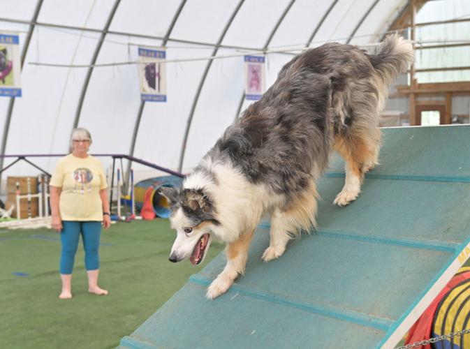 Rocky Creek Dog Agility 14.jpg