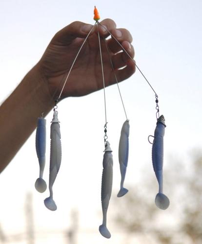 Lure is reeling in anglers, Sports