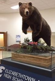 Etown Black Bear