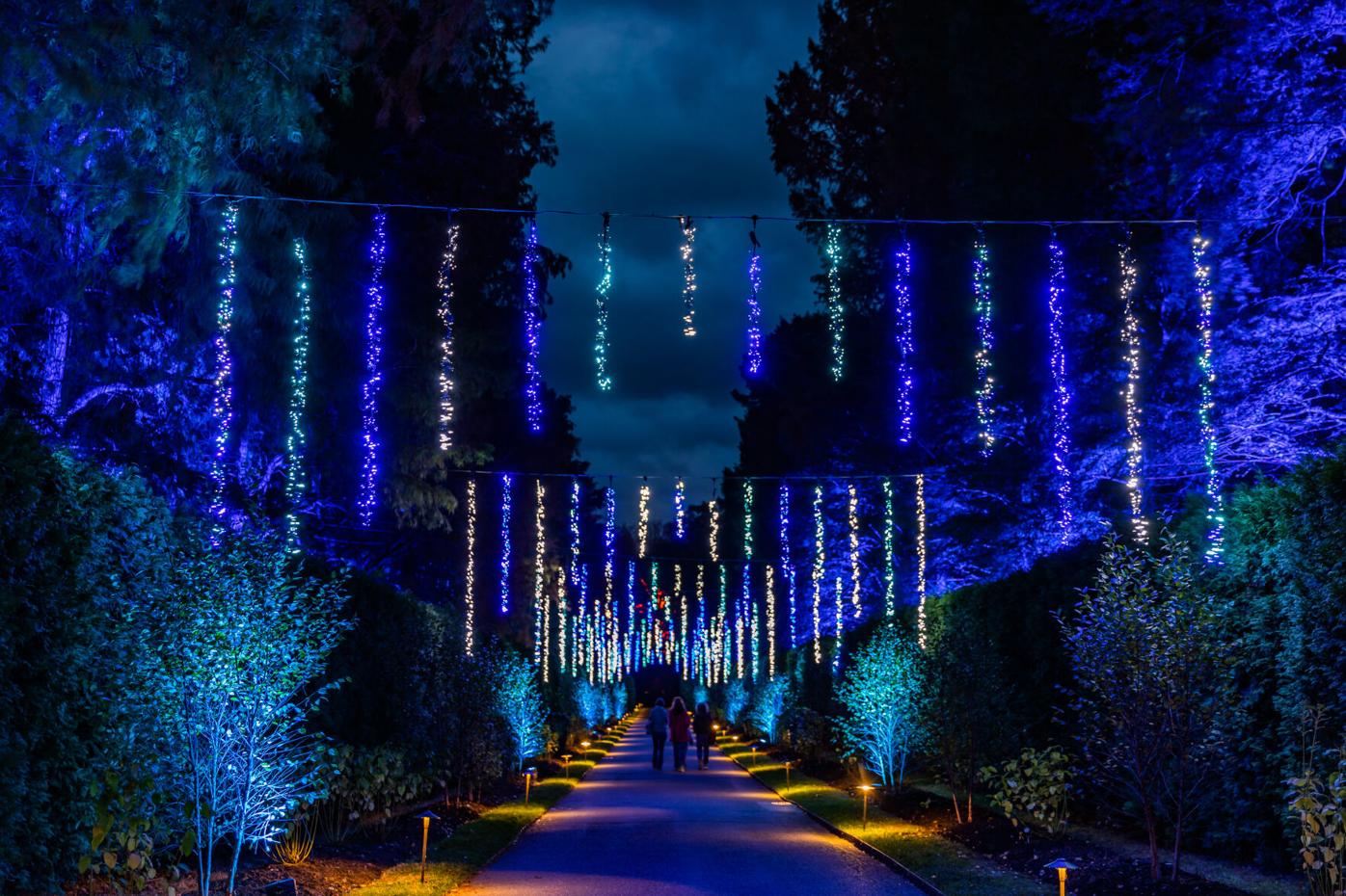 Longwood Gardents Christmas 2022 500,000 Lights Turn Longwood Gardens Into A Christmas Wonderland; Here's  How It Looks [Photos, Video] | Home & Garden | Lancasteronline.com