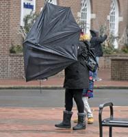 Wind advisory issued for Lancaster County; here's what's in the forecast